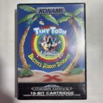 TINY TOON BUSTER'S HIDDEN TREASURE