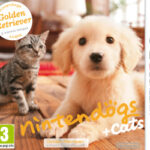 NINTENDO 3DS - NINTENDOGS + CATS - GOLDEN RETRIVER & NUOVI AMICI (USATO)
